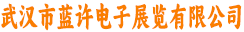 武汉市蓝许电子展览有限公司